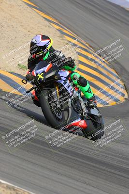 media/Mar-12-2023-SoCal Trackdays (Sun) [[d4c8249724]]/Turns 9 and 10 (1020am)/